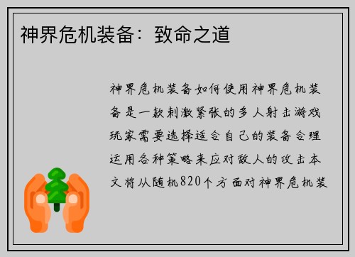 神界危机装备：致命之道